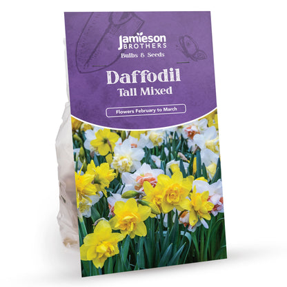 Tall Mixed Daffodil Bulbs (20 bulbs) by Jamieson Brothers
