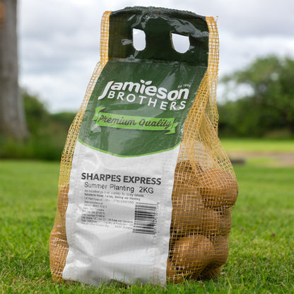 Sharpes Express (2kg - Approx. 20-25 Tubers) Summer Planting Seed Potatoes