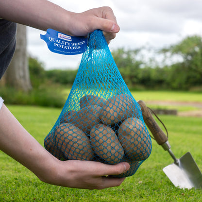 Jazzy (2kg - Approx. 20-25 Tubers) Christmas Harvest Seed Potatoes