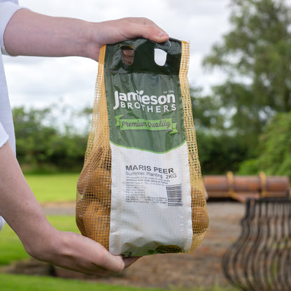 Maris Peer (2kg - Approx. 20-25 Tubers) Christmas Harvest Seed Potatoes