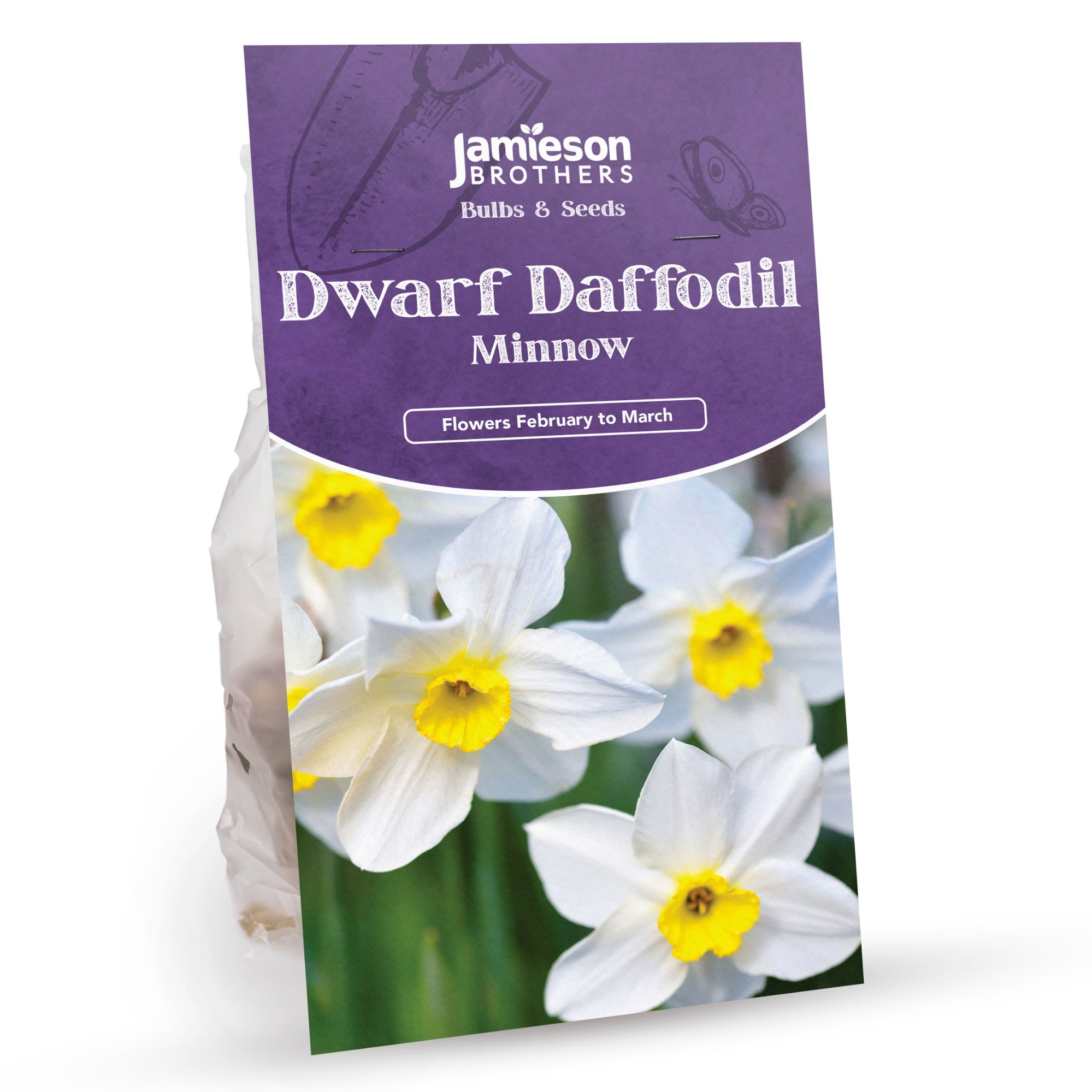 Minnow Daffodil Bulbs (20 bulbs) - Dwarf Daffodils by Jamieson Brothers