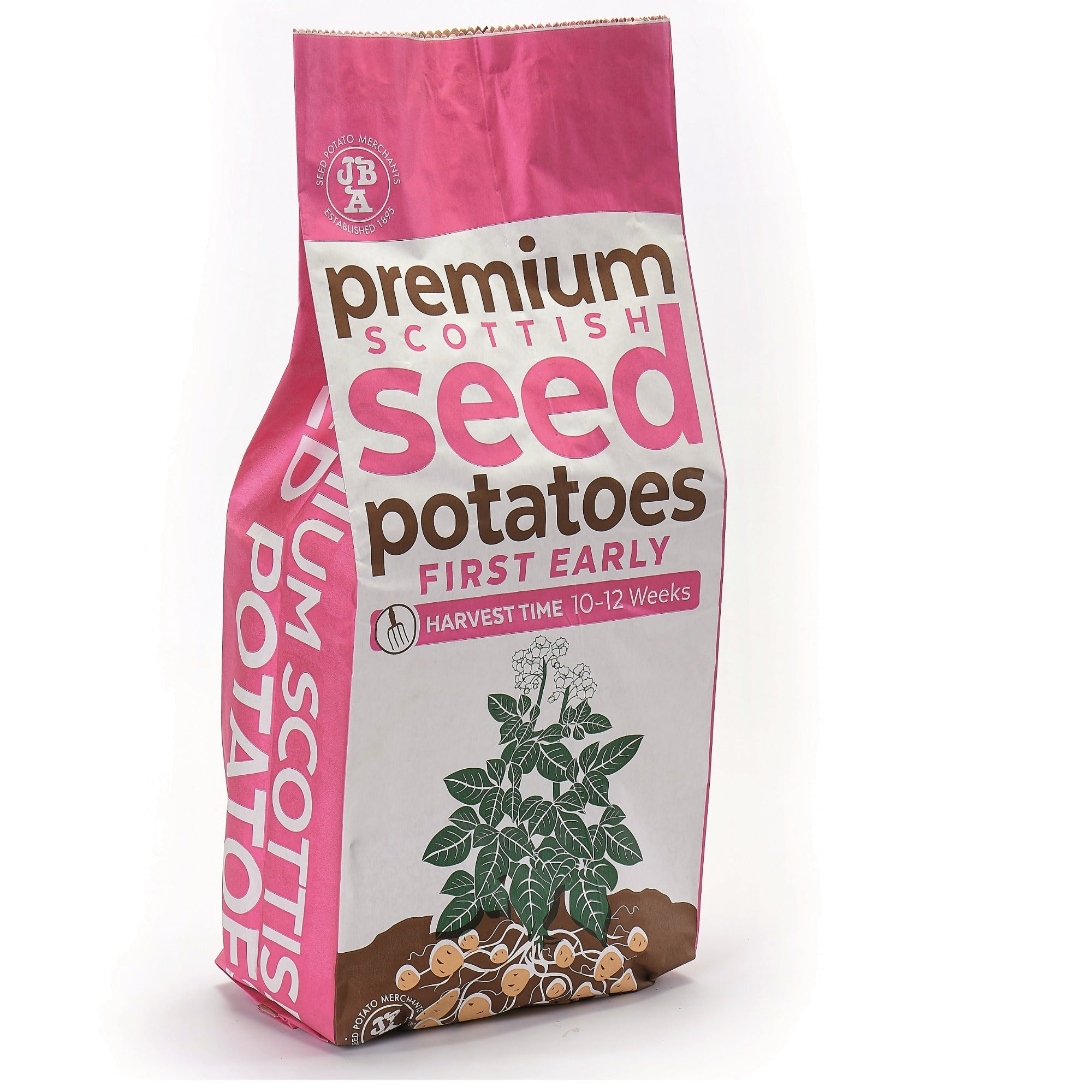 Wilja Seed Potatoes