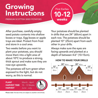 Maris Bard Seed Potatoes