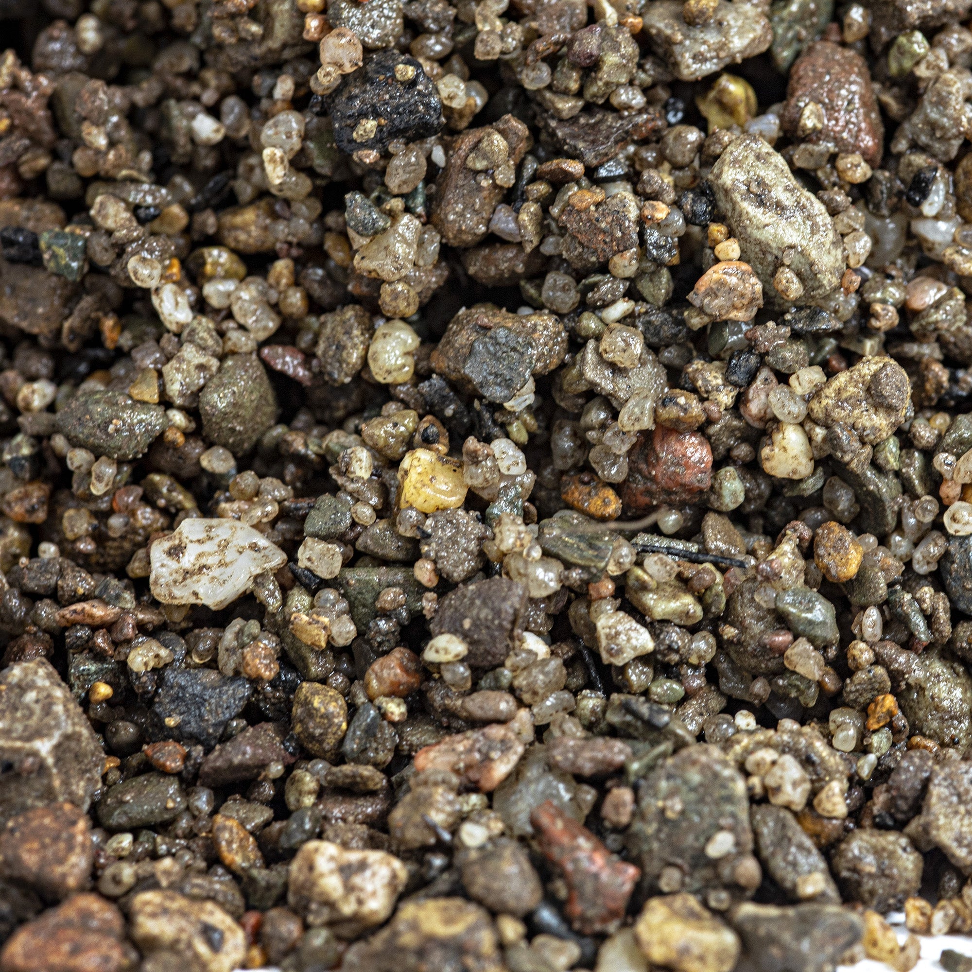 Horticultural Potting Grit