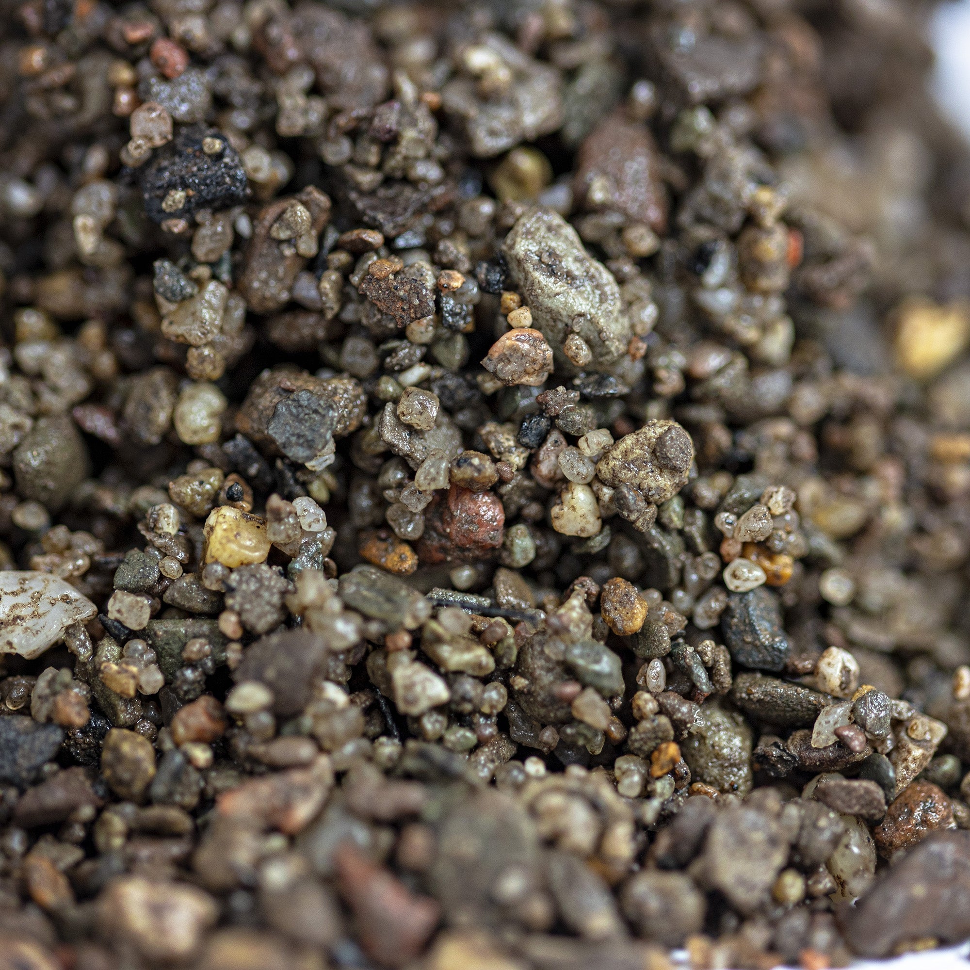 Horticultural Potting Grit