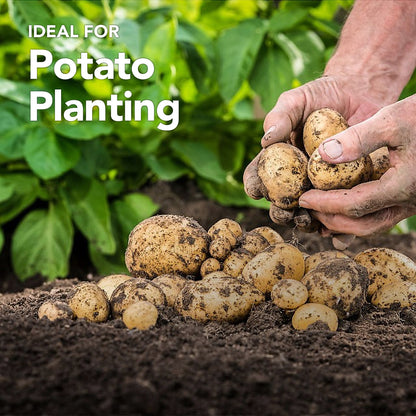 Peat Free Potato Compost with added John Innes 60L By Jamieson Brothers