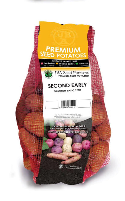 Maris Peer Seed Potatoes