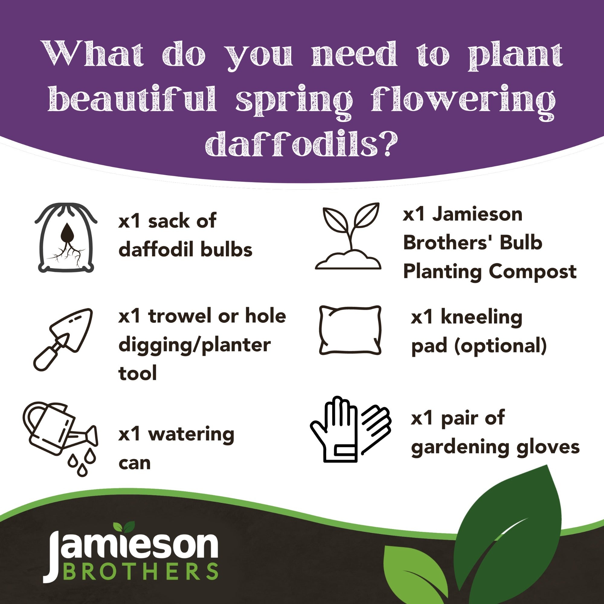 Yellow Trumpet Daffodil Bulbs (20 bulbs) by Jamieson Brothers