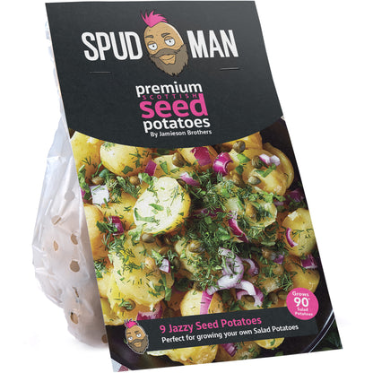 SpudMan Jazzy (6 Tubers) Christmas Harvest Seed Potatoes
