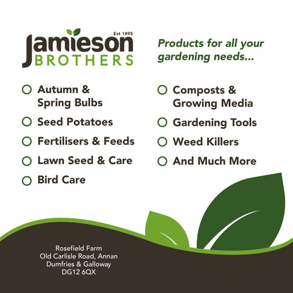 Peat Free Multi Purpose Compost 60L Professional Blend by Jamieson Brothers