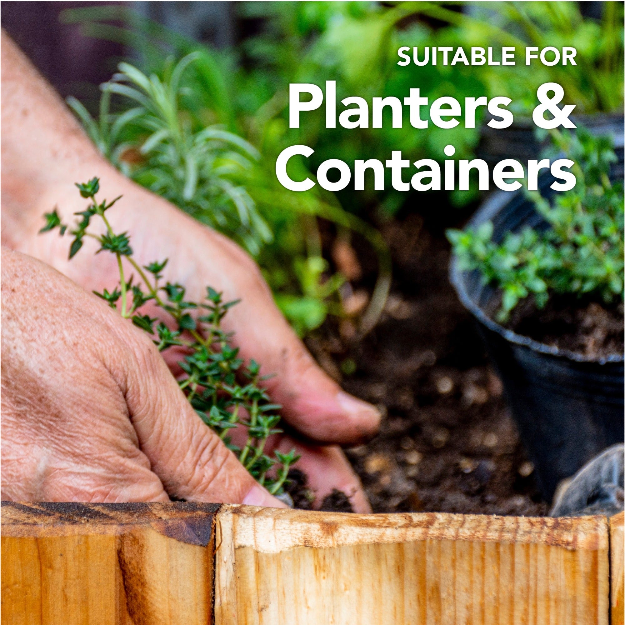 Fruit, Tree and Shrub Planting Compost 60L By Jamieson Brothers