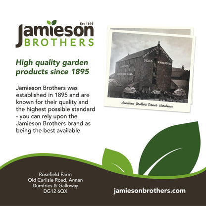 Potato Planting Compost with added John Innes 60L By Jamieson Brothers