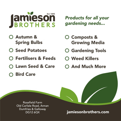 Houseplant Compost 35L - By Jamieson Brothers