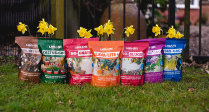 Lava-lite Lava-Lite+ 1Lt