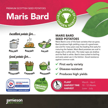 Maris Bard Seed Potatoes