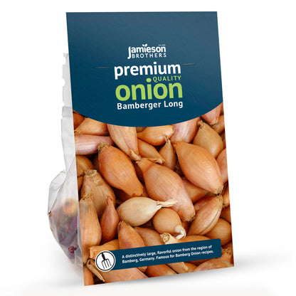 Bamberger Long Onion Sets