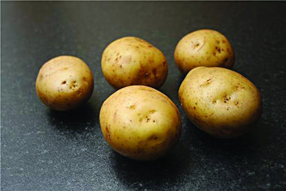 Orla Seed Potatoes