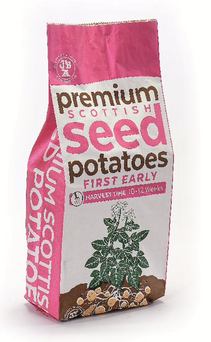 Lady Christl Seed Potatoes