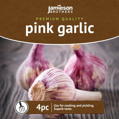 Pink Garlic Bulbs - 4pcs