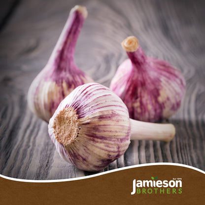 Pink Garlic Bulbs - 4pcs