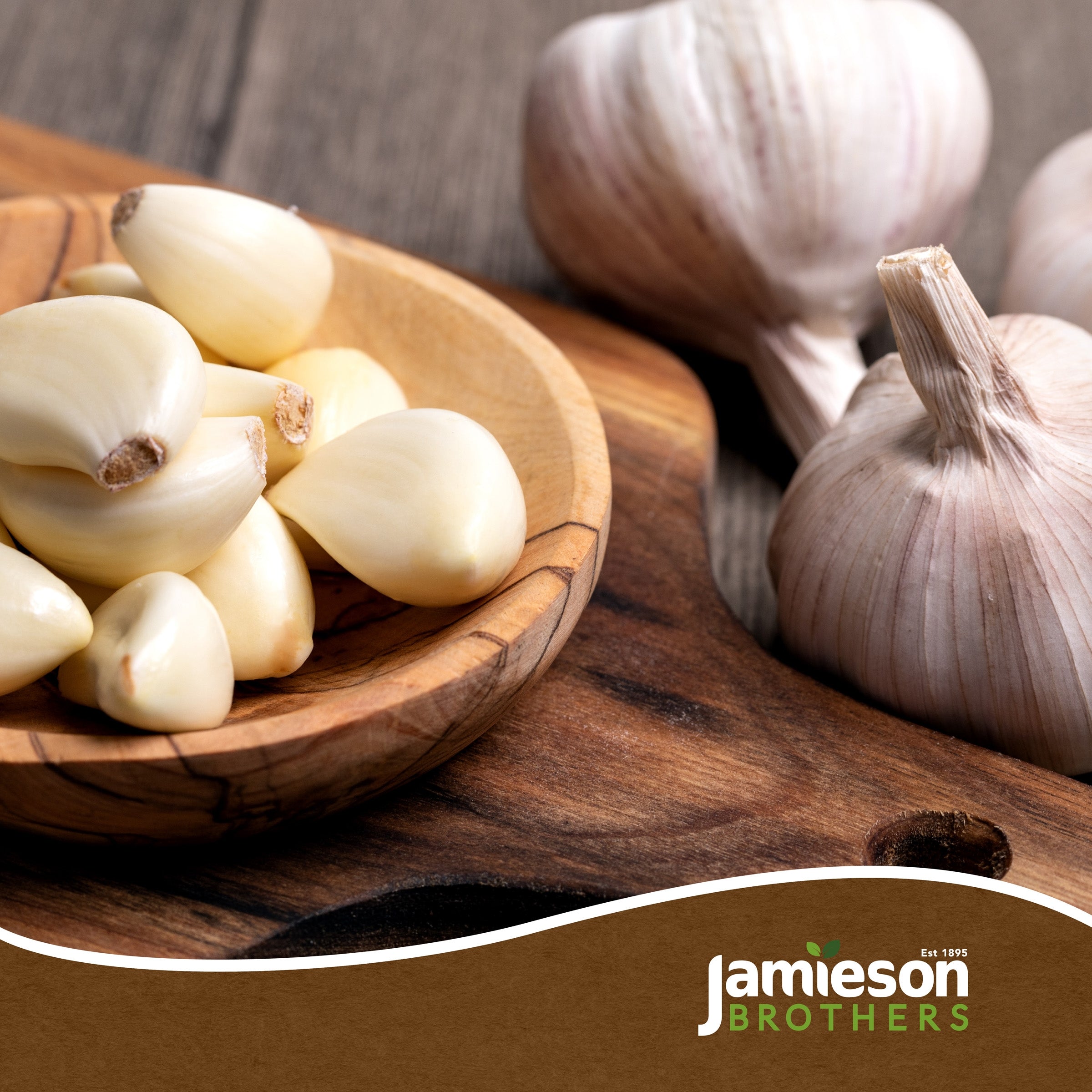 Autumn White Garlic Bulbs - 4pcs