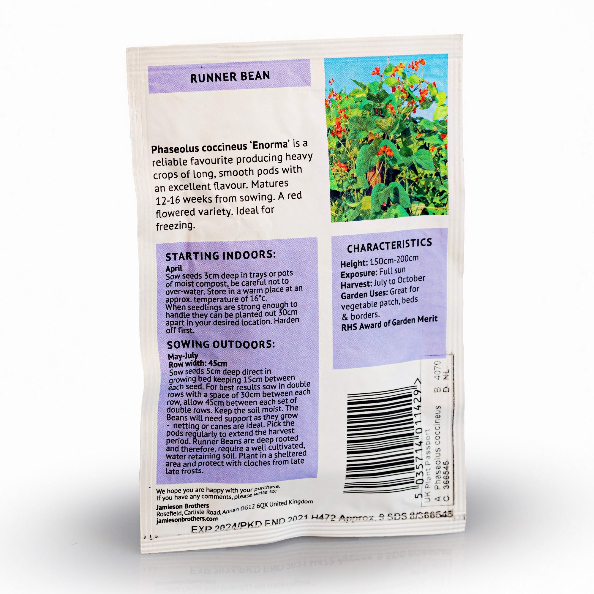 Runner Bean Enorma Vegetable Seeds