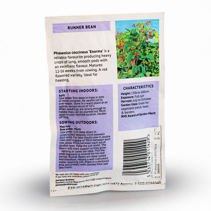 Runner Bean Enorma Vegetable Seeds