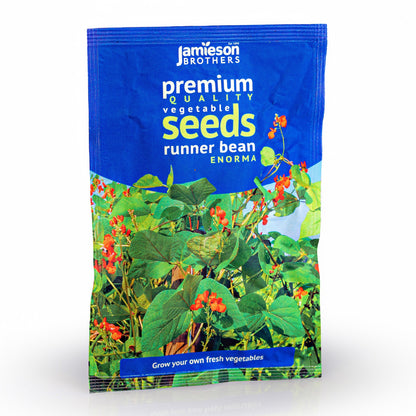 Runner Bean Enorma Vegetable Seeds