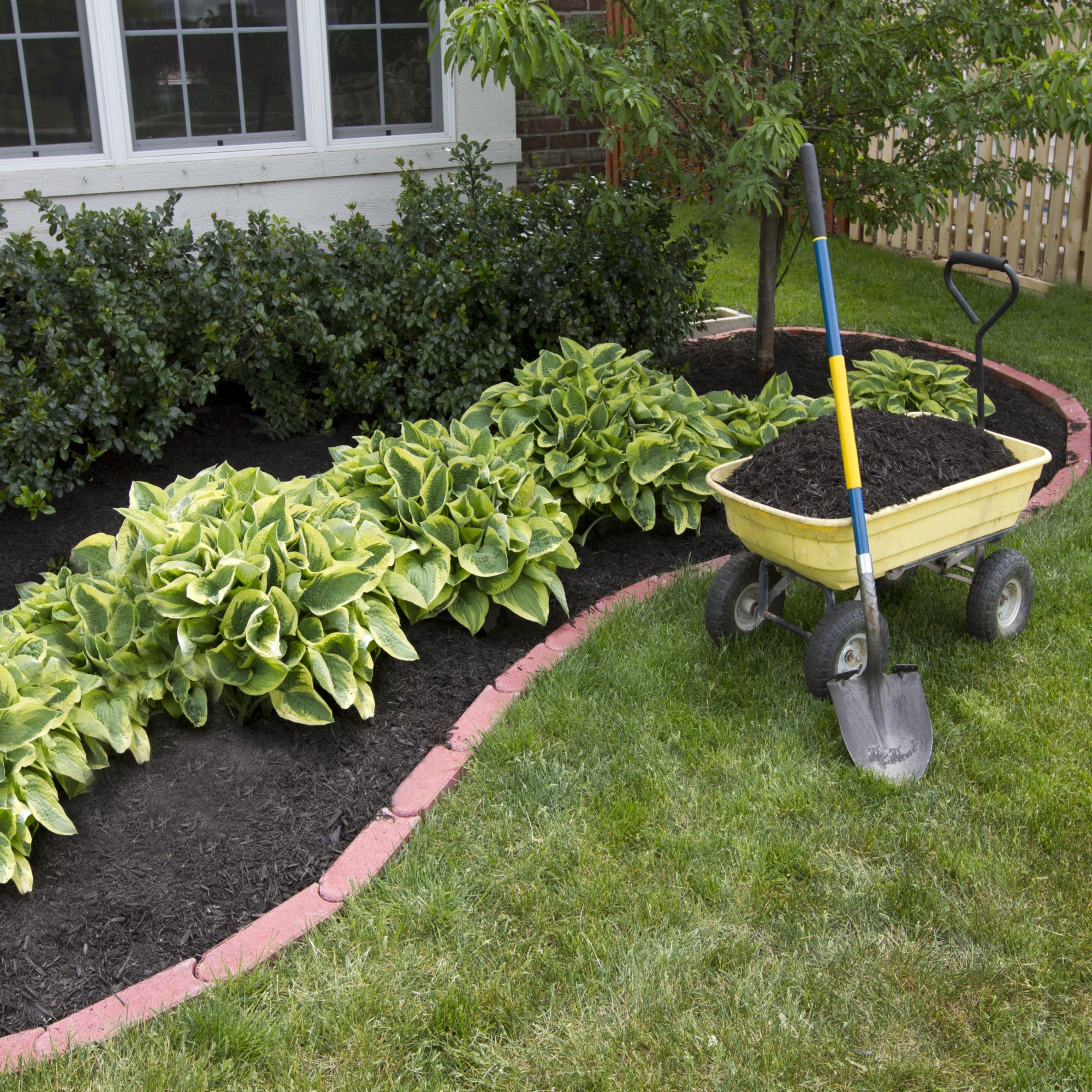 Bordermix Top Soil 35L Enriched with Horse & Chicken Manure