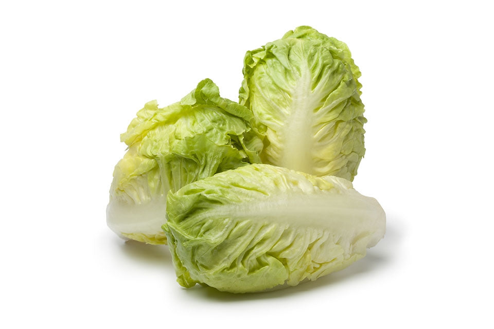 Lettuce Little Gem Vegetable Seeds