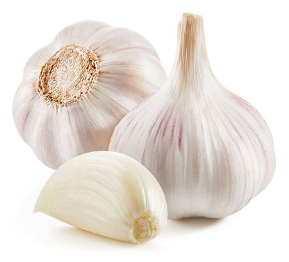 Garlic Pink