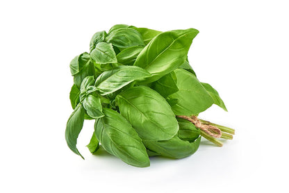Sweet Basil Herb Seeds