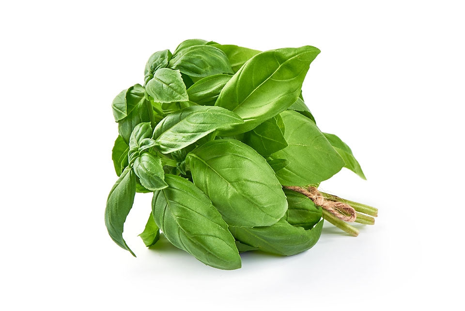 Sweet Basil Herb Seeds