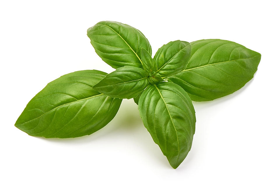 Sweet Basil Herb Seeds