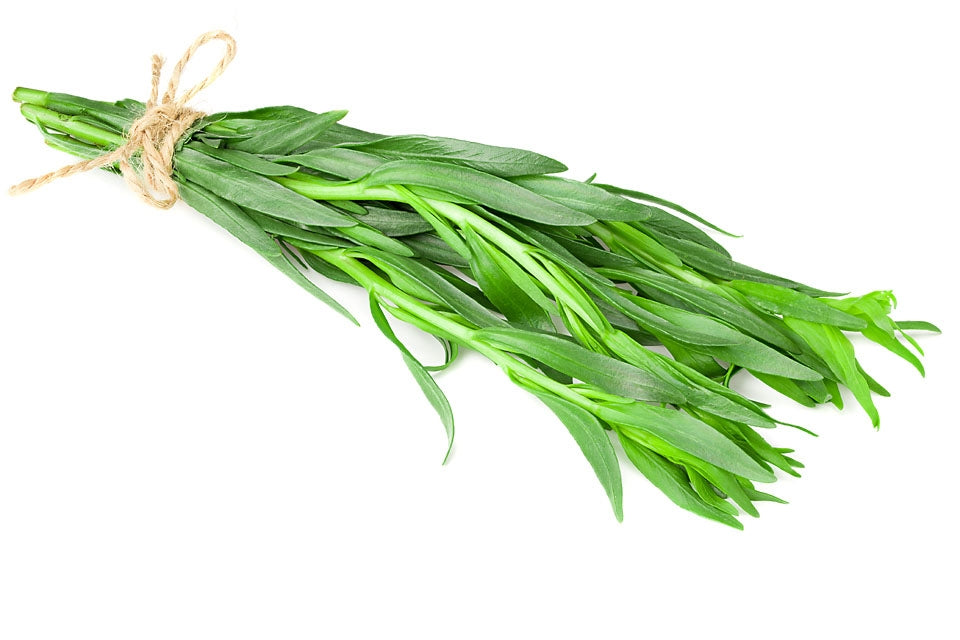 Tarragon (Russian) Herb Seeds