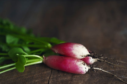 Radish French Breakfast Vegetable Seeds