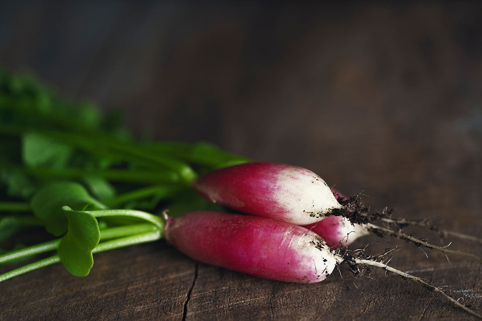 Radish French Breakfast Vegetable Seeds