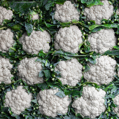 Cauliflower Snowball X Seeds