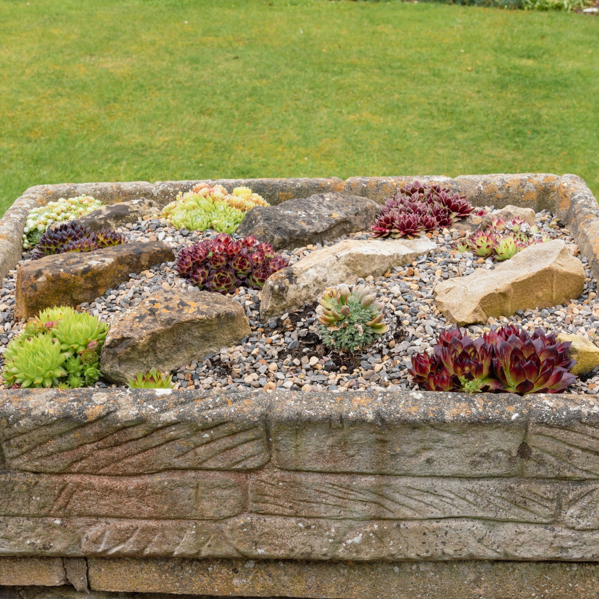 Horticultural Potting Grit