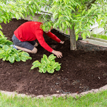 Multi-Mulch 60L - Garden Mulch By Jamieson Brothers