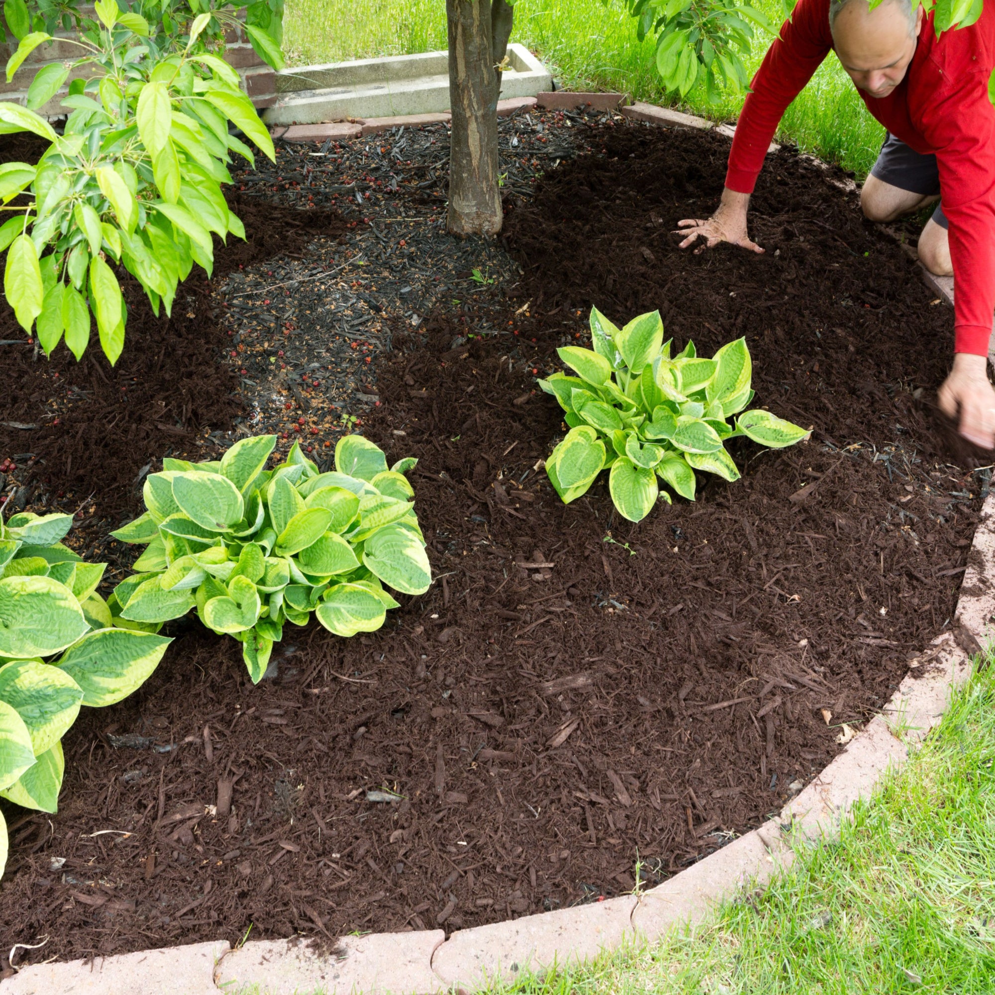Composted Peat Free Garden Mulch