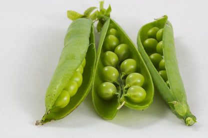 Pea Kelvedon Wonder Vegetable Seeds