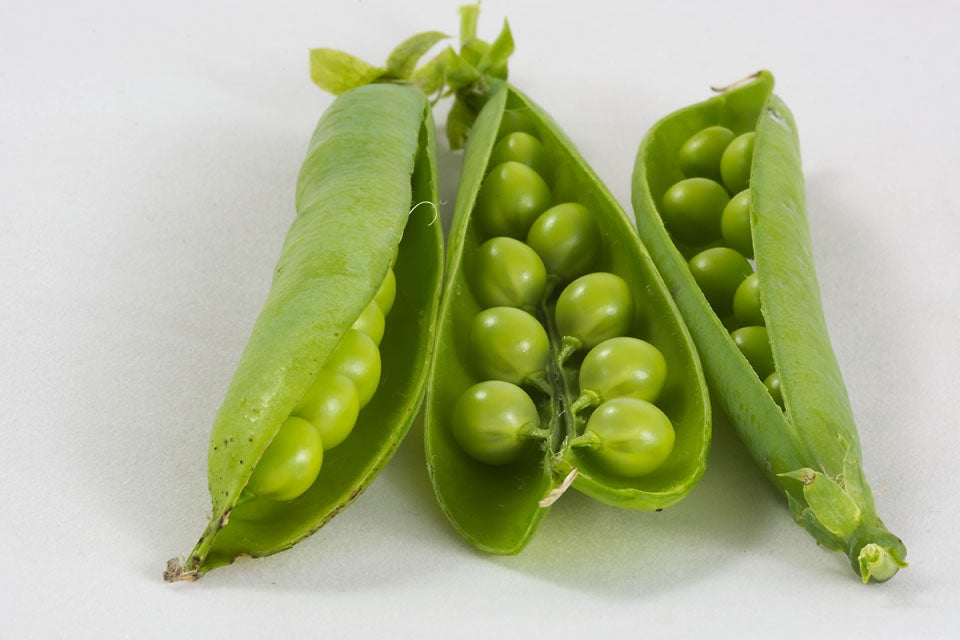 Pea Kelvedon Wonder Vegetable Seeds