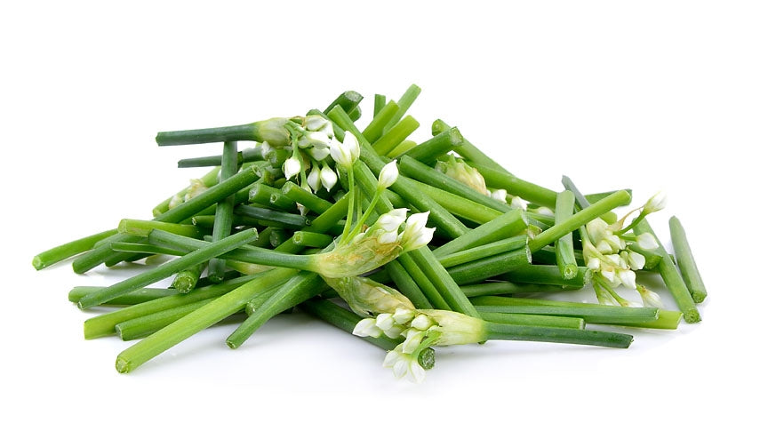 Garlic Chives Herb Seeds