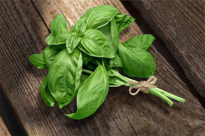 Sweet Basil Herb Seeds