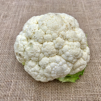Cauliflower Snowball X Seeds