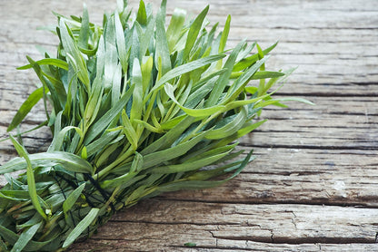 Tarragon (Russian) Herb Seeds