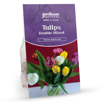 Double Mixed Tulip Bulbs